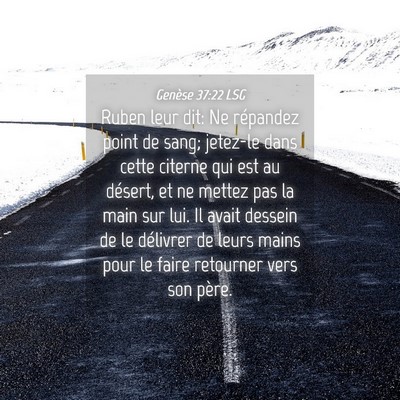 Picture 04 - Genèse 37:22 LSG - Ruben leur dit: Ne répandez point de sang; - Bible Verse Picture