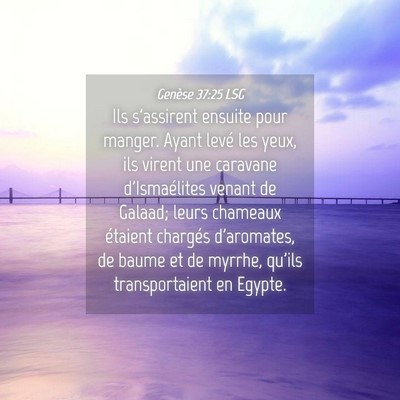 Picture 04 - Genèse 37:25 LSG - Ils s'assirent ensuite pour manger. Ayant levé - Bible Verse Picture