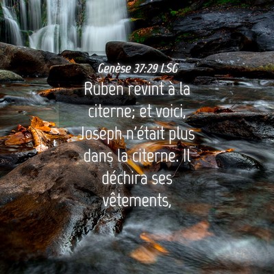 Picture 04 - Genèse 37:29 LSG - Ruben revint à la citerne; et voici, Joseph - Bible Verse Picture