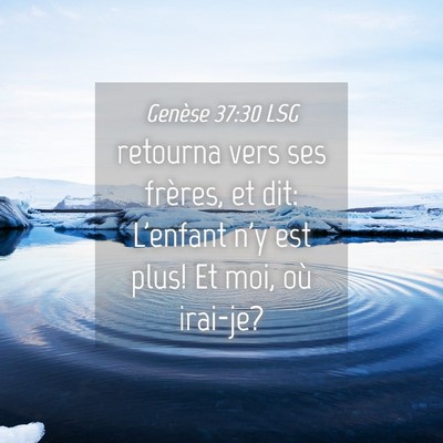 Picture 04 - Genèse 37:30 LSG - retourna vers ses frères, et dit: L'enfant n'y - Bible Verse Picture