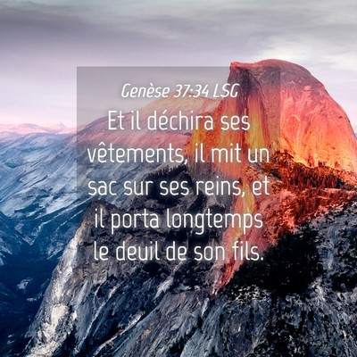 Picture 04 - Genèse 37:34 LSG - Et il déchira ses vêtements, il mit un sac sur - Bible Verse Picture