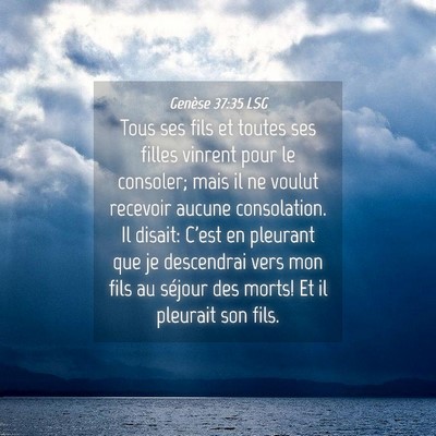Picture 04 - Genèse 37:35 LSG - Tous ses fils et toutes ses filles vinrent pour - Bible Verse Picture