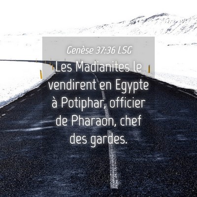 Picture 04 - Genèse 37:36 LSG - Les Madianites le vendirent en Egypte à - Bible Verse Picture