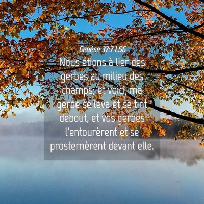 Picture 04 - Genèse 37:7 LSG - Nous étions à lier des gerbes au milieu des - Bible Verse Picture