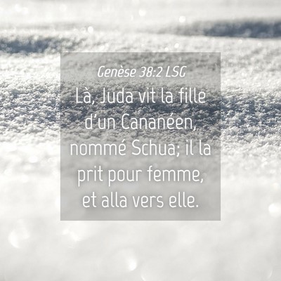 Picture 04 - Genèse 38:2 LSG - Là, Juda vit la fille d'un Cananéen, nommé - Bible Verse Picture