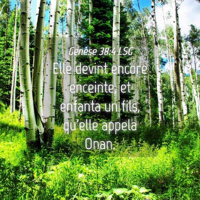 Picture 04 - Genèse 38:4 LSG - Elle devint encore enceinte, et enfanta un fils, - Bible Verse Picture