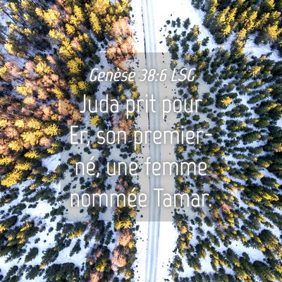 Picture 04 - Genèse 38:6 LSG - Juda prit pour Er, son premier-né, une femme - Bible Verse Picture