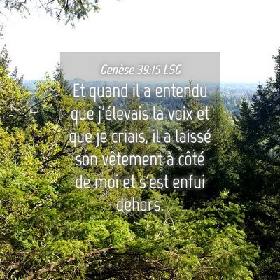 Picture 04 - Genèse 39:15 LSG - Et quand il a entendu que j'élevais la voix et - Bible Verse Picture