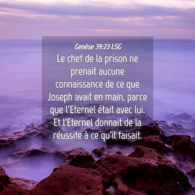 Picture 04 - Genèse 39:23 LSG - Le chef de la prison ne prenait aucune - Bible Verse Picture