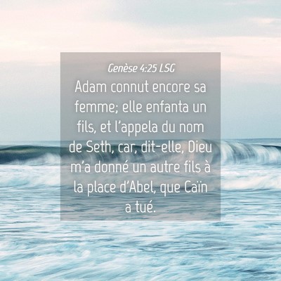 Picture 04 - Genèse 4:25 LSG - Adam connut encore sa femme; elle enfanta un - Bible Verse Picture