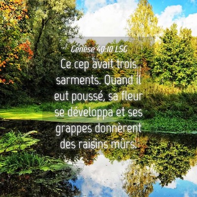 Picture 04 - Genèse 40:10 LSG - Ce cep avait trois sarments. Quand il eut - Bible Verse Picture