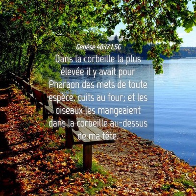 Picture 04 - Genèse 40:17 LSG - Dans la corbeille la plus élevée il y avait - Bible Verse Picture
