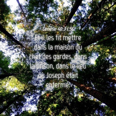 Picture 04 - Genèse 40:3 LSG - Et il les fit mettre dans la maison du chef des - Bible Verse Picture