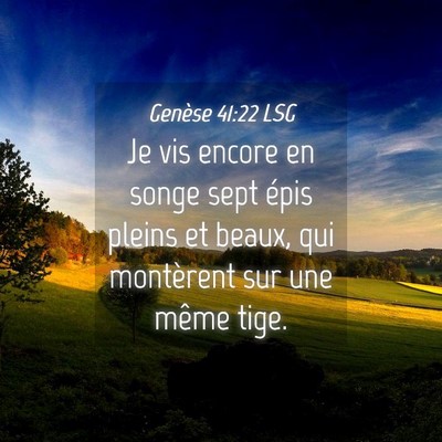 Picture 04 - Genèse 41:22 LSG - Je vis encore en songe sept épis pleins et - Bible Verse Picture