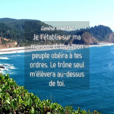 Picture 04 - Genèse 41:40 LSG - Je t'établis sur ma maison, et tout mon peuple - Bible Verse Picture