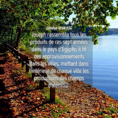Picture 04 - Genèse 41:48 LSG - Joseph rassembla tous les produits de ces sept - Bible Verse Picture