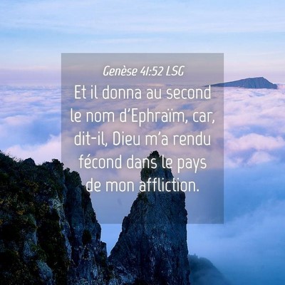 Picture 04 - Genèse 41:52 LSG - Et il donna au second le nom d'Ephraïm, car, - Bible Verse Picture