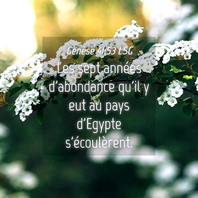 Picture 04 - Genèse 41:53 LSG - Les sept années d'abondance qu'il y eut au pays - Bible Verse Picture