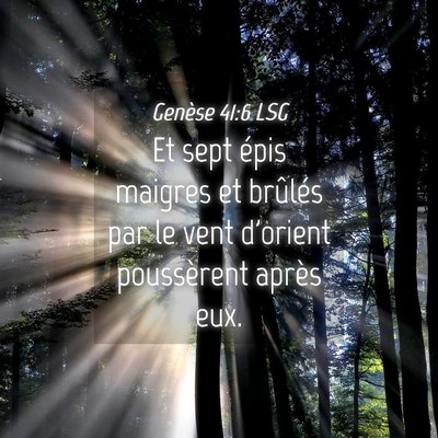 Picture 04 - Genèse 41:6 LSG - Et sept épis maigres et brûlés par le vent - Bible Verse Picture