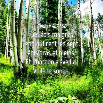 Picture 04 - Genèse 41:7 LSG - Les épis maigres engloutirent les sept épis - Bible Verse Picture