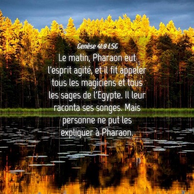 Picture 04 - Genèse 41:8 LSG - Le matin, Pharaon eut l'esprit agité, et il fit - Bible Verse Picture