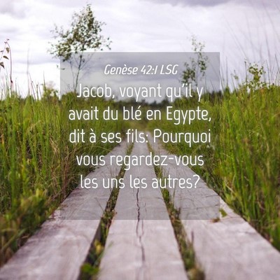 Picture 04 - Genèse 42:1 LSG - Jacob, voyant qu'il y avait du blé en Egypte, - Bible Verse Picture