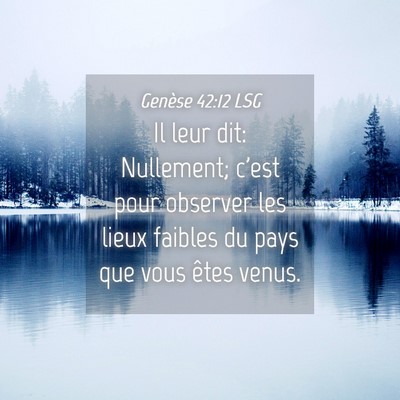 Picture 04 - Genèse 42:12 LSG - Il leur dit: Nullement; c'est pour observer les - Bible Verse Picture