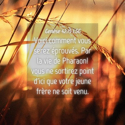 Picture 04 - Genèse 42:15 LSG - Voici comment vous serez éprouvés. Par la vie - Bible Verse Picture