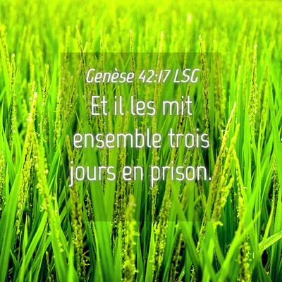 Picture 04 - Genèse 42:17 LSG - Et il les mit ensemble trois jours en - Bible Verse Picture