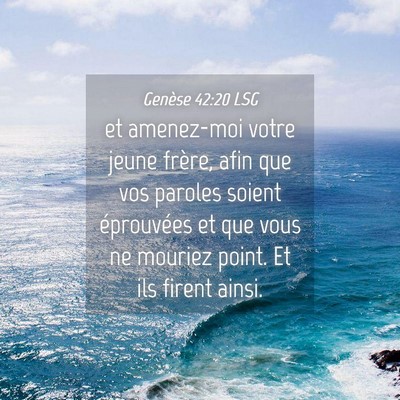 Picture 04 - Genèse 42:20 LSG - et amenez-moi votre jeune frère, afin que vos - Bible Verse Picture