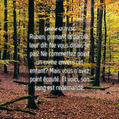 Picture 04 - Genèse 42:22 LSG - Ruben, prenant la parole, leur dit: Ne vous - Bible Verse Picture