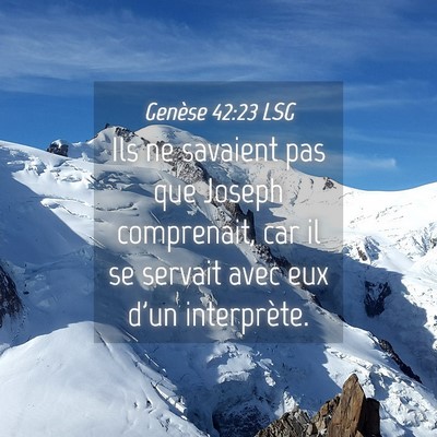 Picture 04 - Genèse 42:23 LSG - Ils ne savaient pas que Joseph comprenait, car il - Bible Verse Picture