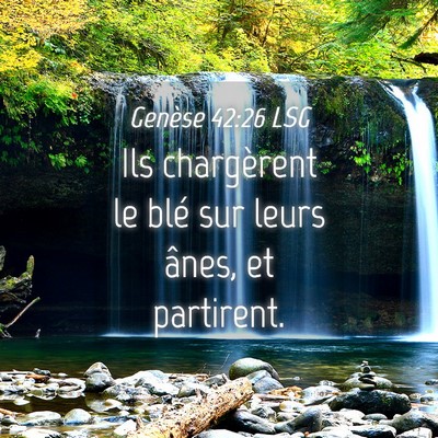 Picture 04 - Genèse 42:26 LSG - Ils chargèrent le blé sur leurs ânes, et - Bible Verse Picture