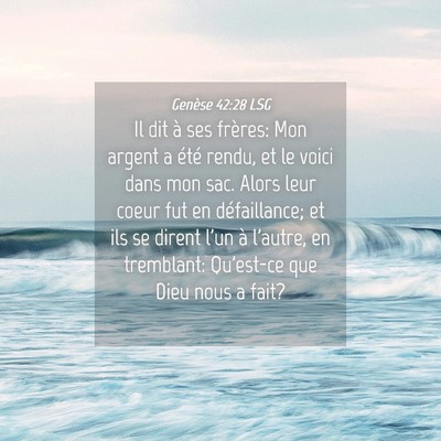 Picture 04 - Genèse 42:28 LSG - Il dit à ses frères: Mon argent a été rendu, - Bible Verse Picture
