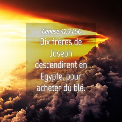 Picture 04 - Genèse 42:3 LSG - Dix frères de Joseph descendirent en Egypte, - Bible Verse Picture