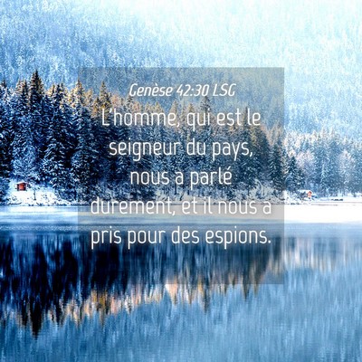 Picture 04 - Genèse 42:30 LSG - L'homme, qui est le seigneur du pays, nous a - Bible Verse Picture