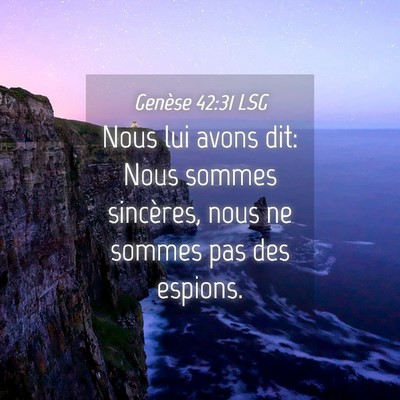 Picture 04 - Genèse 42:31 LSG - Nous lui avons dit: Nous sommes sincères, nous - Bible Verse Picture