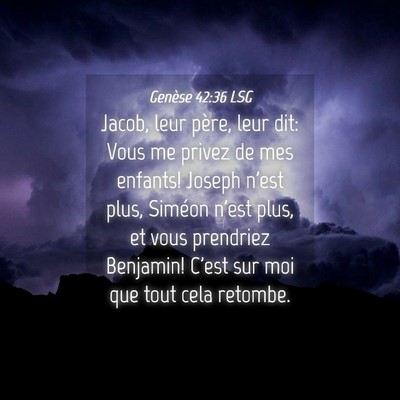 Picture 04 - Genèse 42:36 LSG - Jacob, leur père, leur dit: Vous me privez de - Bible Verse Picture