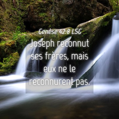 Picture 04 - Genèse 42:8 LSG - Joseph reconnut ses frères, mais eux ne le - Bible Verse Picture