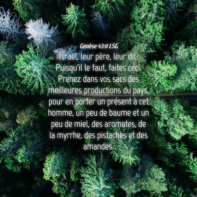 Picture 04 - Genèse 43:11 LSG - Israël, leur père, leur dit: Puisqu'il le faut, - Bible Verse Picture