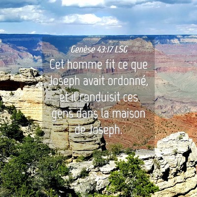Picture 04 - Genèse 43:17 LSG - Cet homme fit ce que Joseph avait ordonné, et il - Bible Verse Picture
