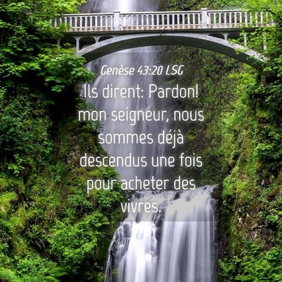 Picture 04 - Genèse 43:20 LSG - Ils dirent: Pardon! mon seigneur, nous sommes - Bible Verse Picture
