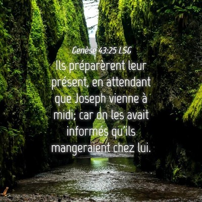 Picture 04 - Genèse 43:25 LSG - Ils préparèrent leur présent, en attendant que - Bible Verse Picture