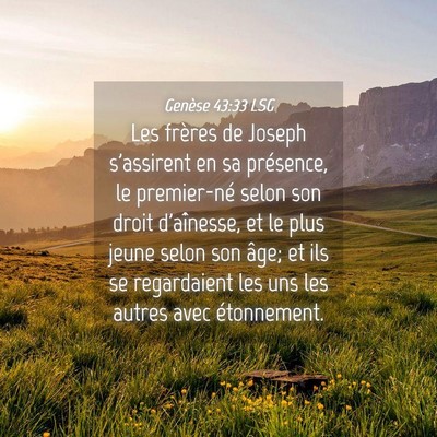 Picture 04 - Genèse 43:33 LSG - Les frères de Joseph s'assirent en sa présence, - Bible Verse Picture