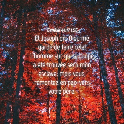 Picture 04 - Genèse 44:17 LSG - Et Joseph dit: Dieu me garde de faire cela! - Bible Verse Picture