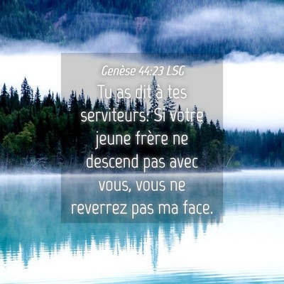 Picture 04 - Genèse 44:23 LSG - Tu as dit à tes serviteurs: Si votre jeune - Bible Verse Picture