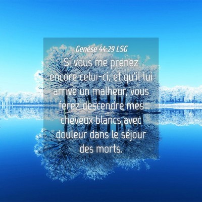 Picture 04 - Genèse 44:29 LSG - Si vous me prenez encore celui-ci, et qu'il lui - Bible Verse Picture