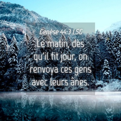 Picture 04 - Genèse 44:3 LSG - Le matin, dès qu'il fit jour, on renvoya ces - Bible Verse Picture