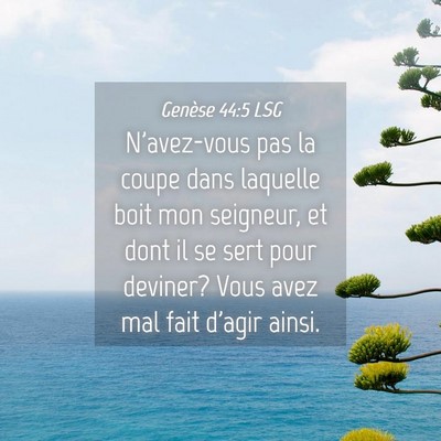 Picture 04 - Genèse 44:5 LSG - N'avez-vous pas la coupe dans laquelle boit mon - Bible Verse Picture