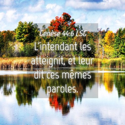 Picture 04 - Genèse 44:6 LSG - L'intendant les atteignit, et leur dit ces mêmes - Bible Verse Picture